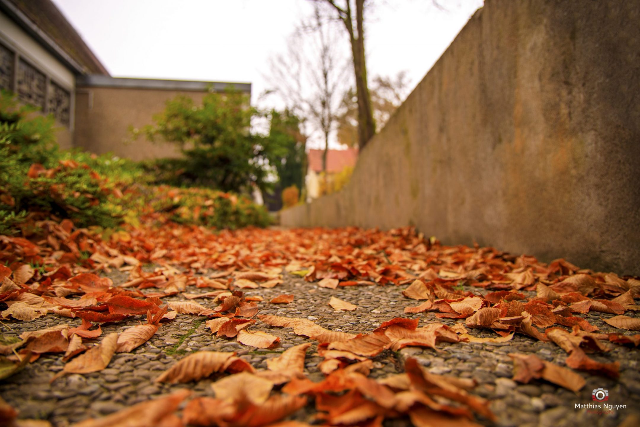 _OS_5797-Edit